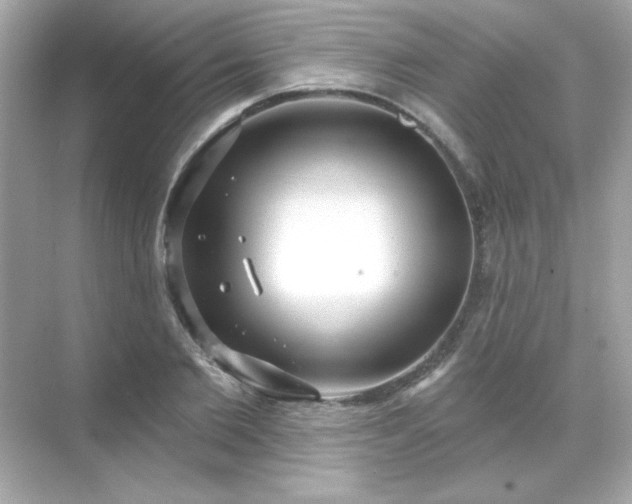 X0000071800885200607072049