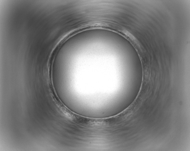 X0000071800886200607072049