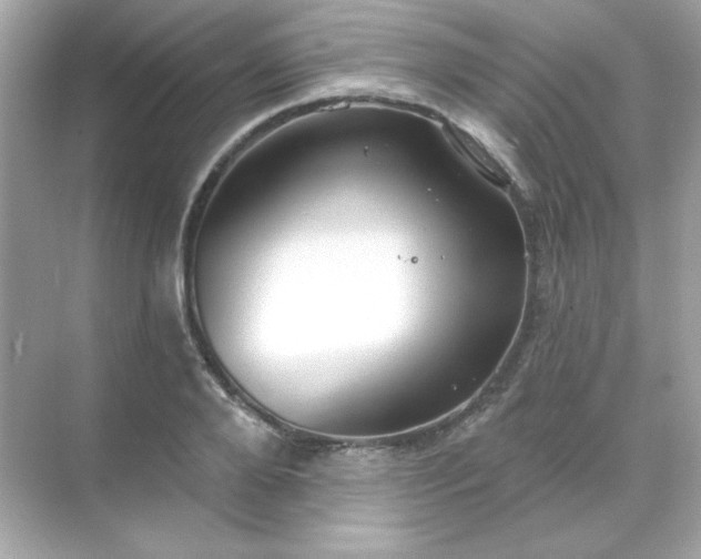 X0000071800888200607072049