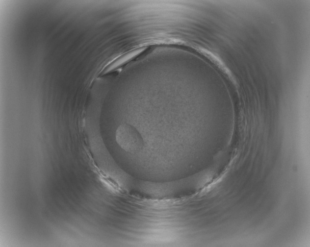 X0000071800889200607072049