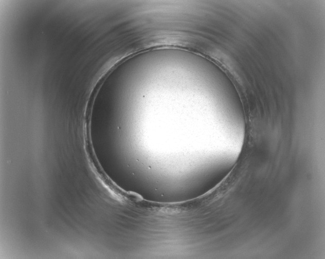 X0000071800890200607072049