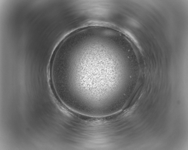 X0000071800891200607072049