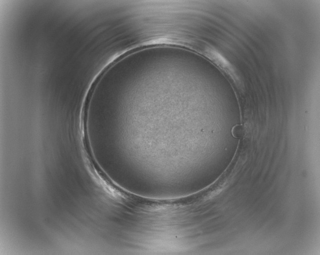 X0000071800892200607072048