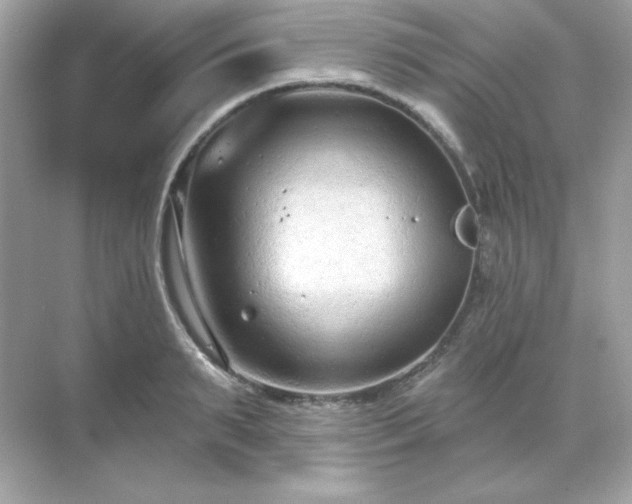 X0000071800895200607072048