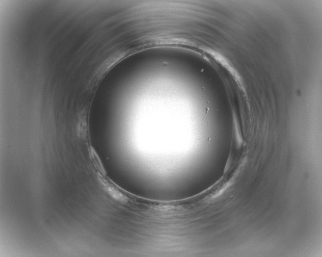 X0000071800897200607072048