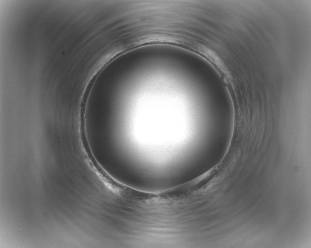 X0000071800898200607072048