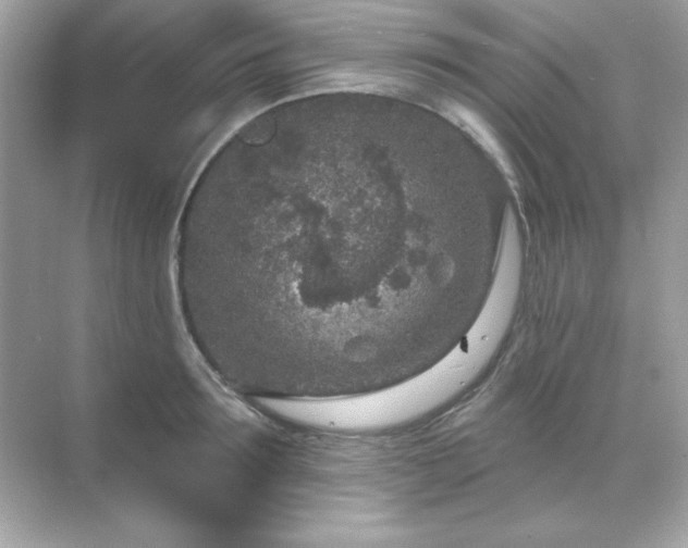 X0000071800899200607072048