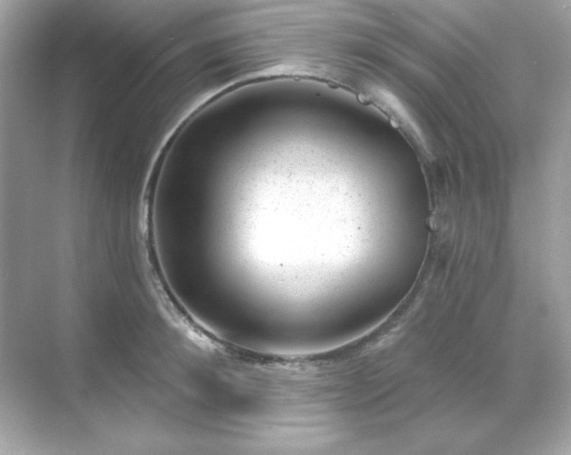 X0000071800900200607072048