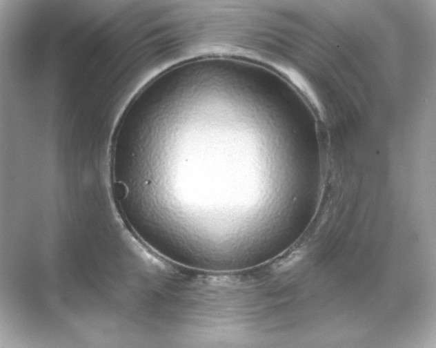 X0000071800903200607072048