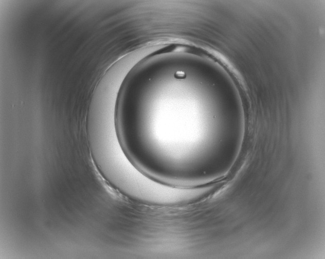 X0000071800905200607072048