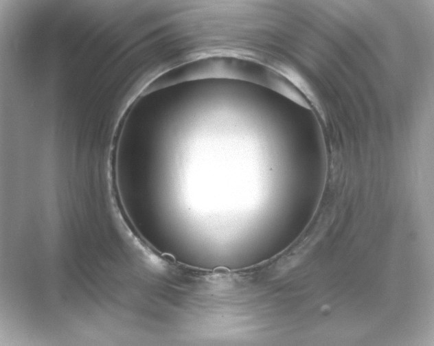 X0000071800906200607072048