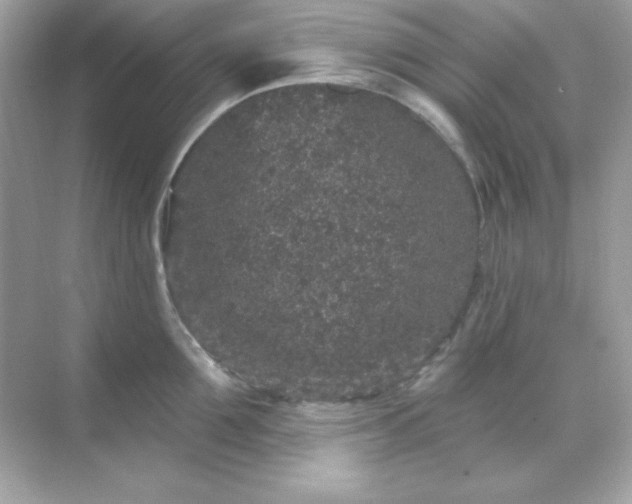 X0000071800907200607072048