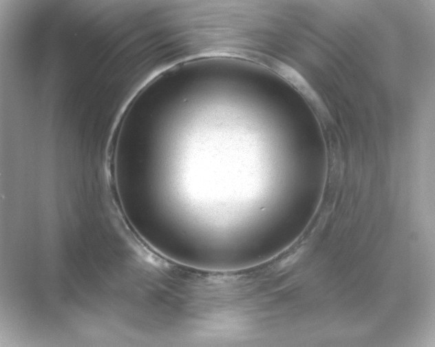 X0000071800908200607072048