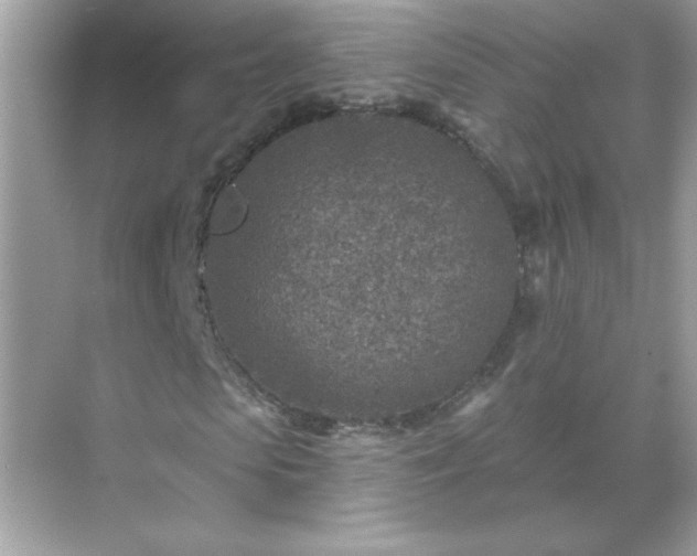 X0000071800913200607072047