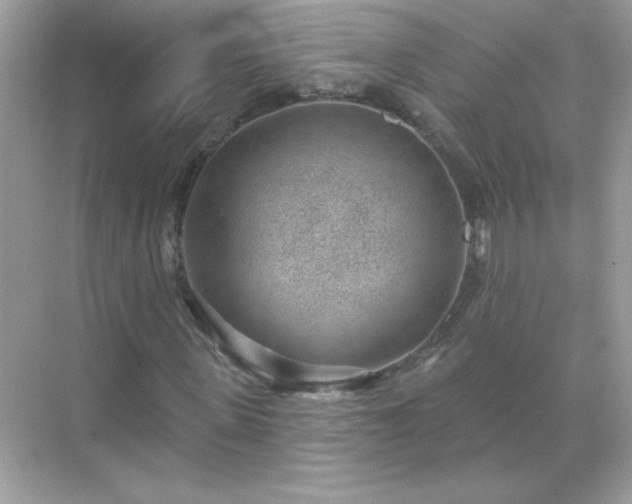 X0000071800915200607072047