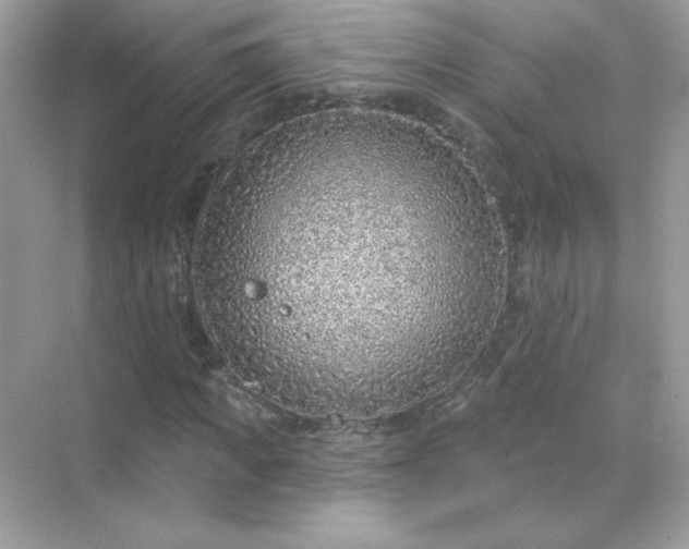 X0000071800917200607072047