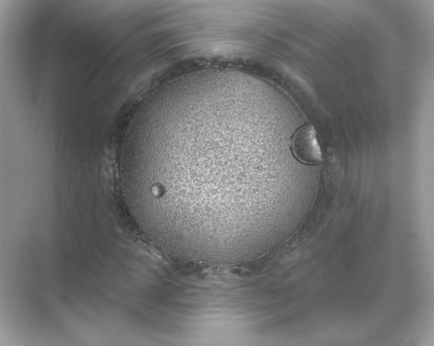 X0000071800918200607072047