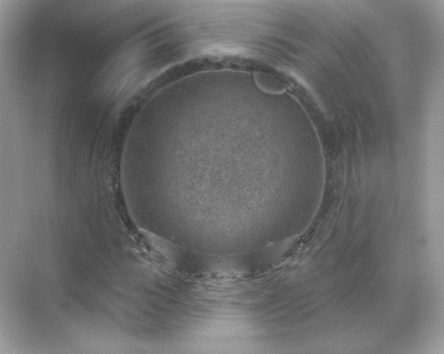 X0000071800919200607072047