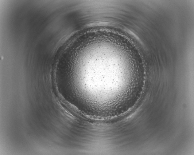 X0000071800921200607072047