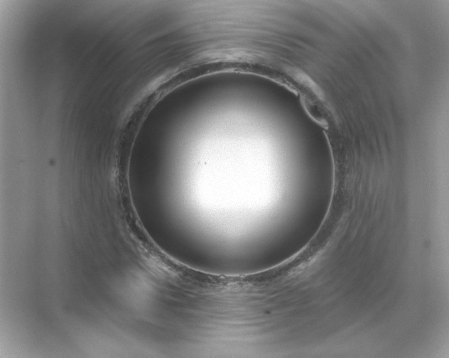 X0000071800922200607072048