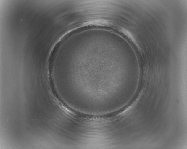 X0000071800923200607072048