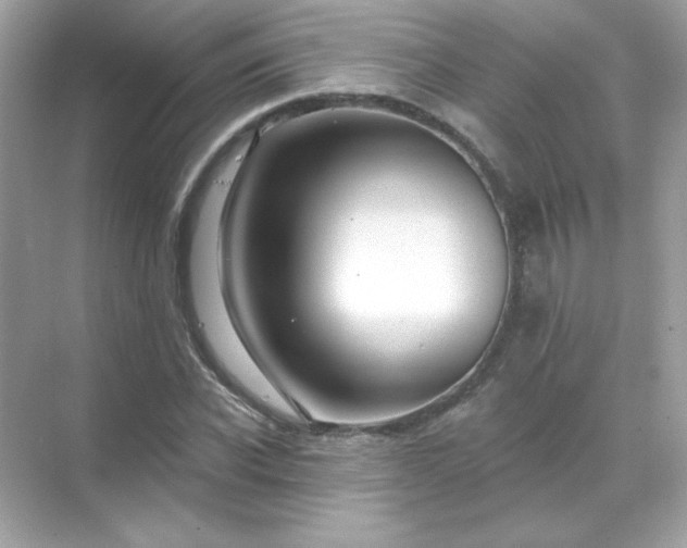 X0000071800926200607072048