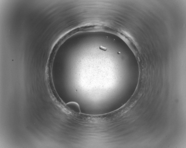 X0000071800928200607072048