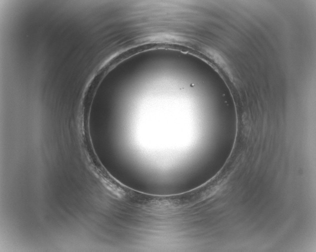 X0000071800931200607072048