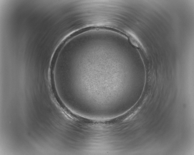 X0000071800932200607072048