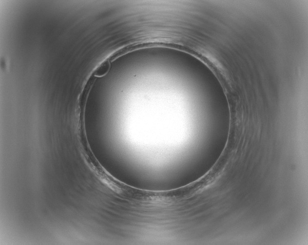 X0000071800933200607072048