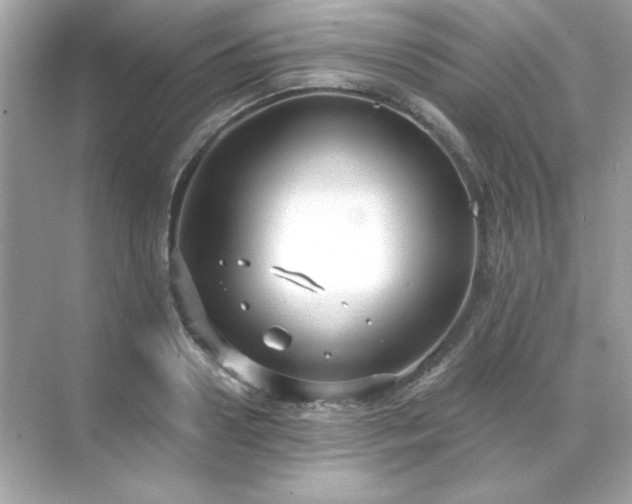 X0000071800938200607072048