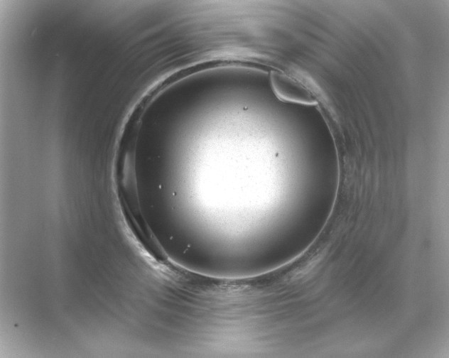 X0000071800939200607072048