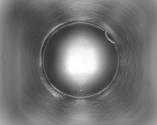 X0000071800940200607072048