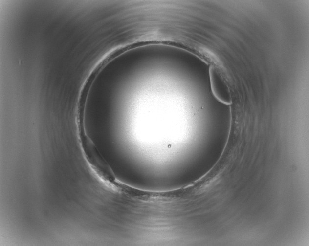 X0000071800942200607072048