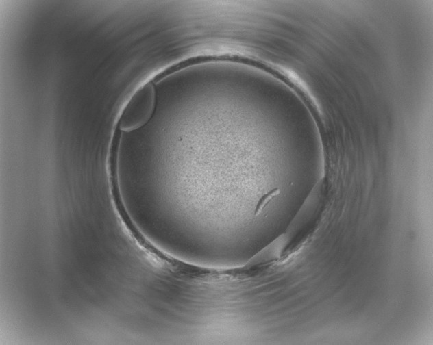 X0000071800943200607072048