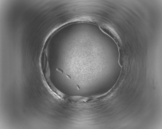 X0000071800944200607072048