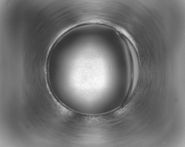 X0000071800951200607072048