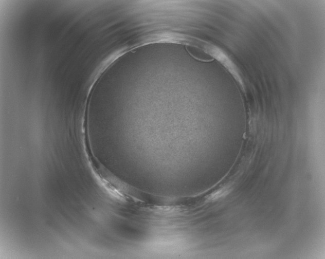 X0000071800954200607072048