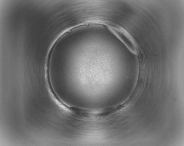 X0000071800955200607072048