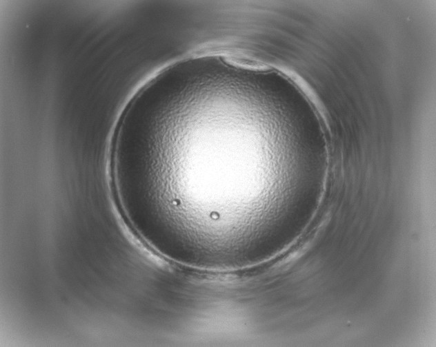 X0000071800957200607072048