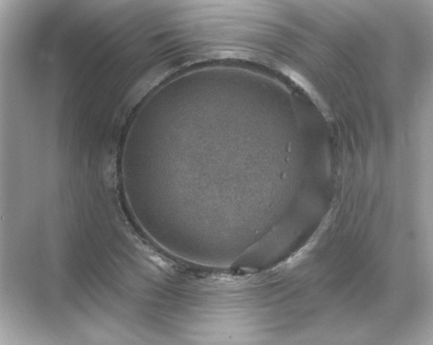 X0000071800977200607072047