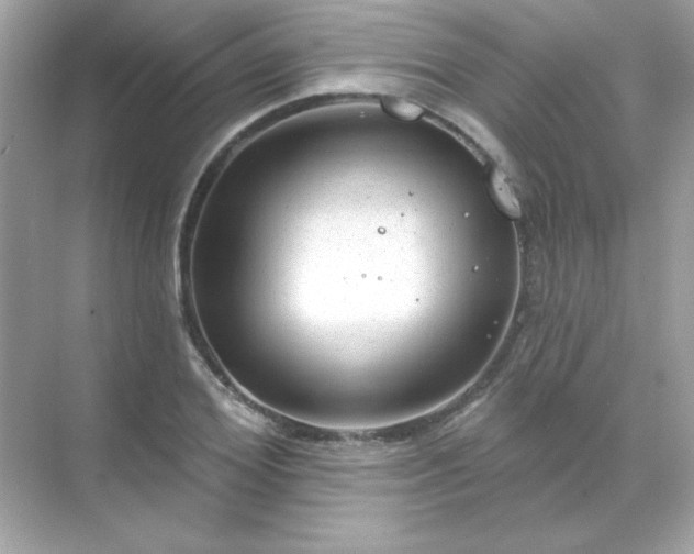 X0000071800980200607072047