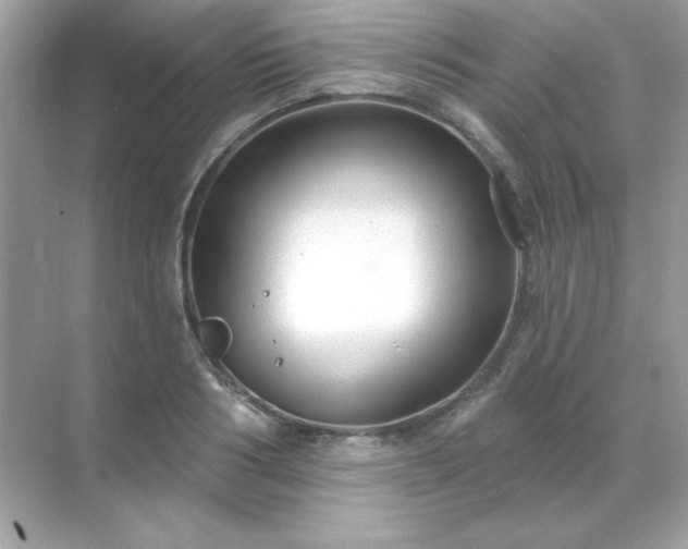 X0000071800986200607072047