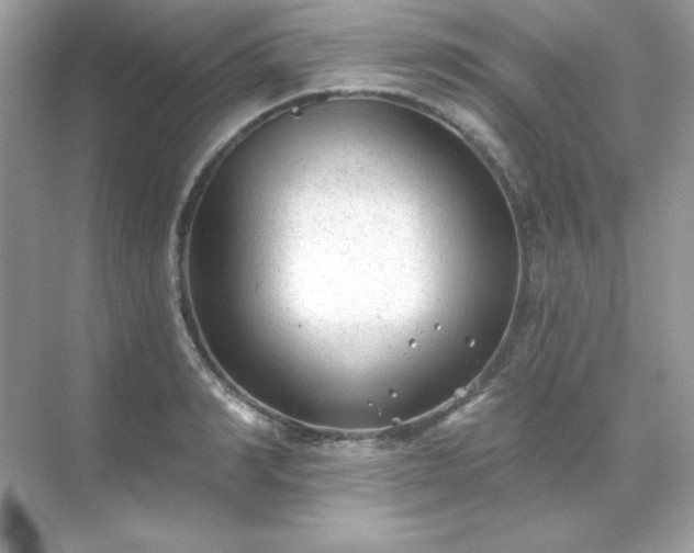 X0000071800990200607072047