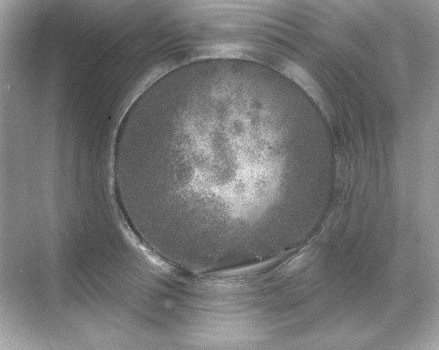 X0000071800994200607072047