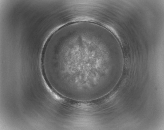 X0000071800995200607072047