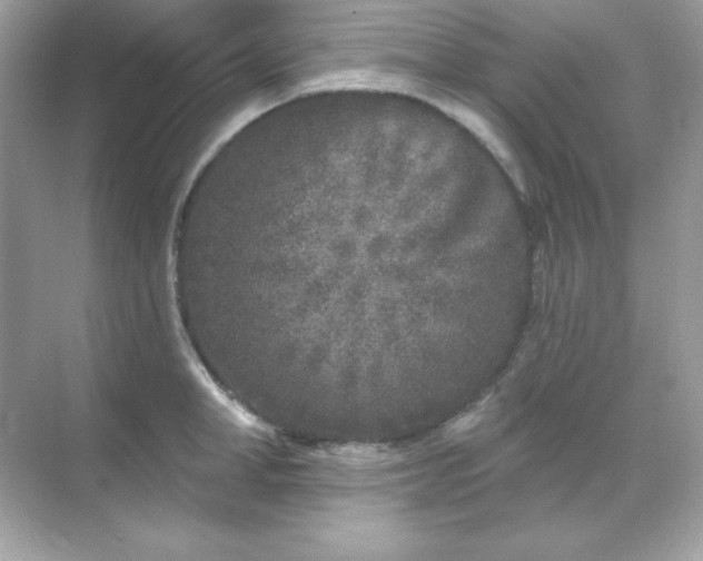 X0000071800998200607072047