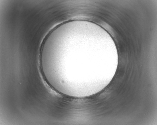 X0000071801000200607072047