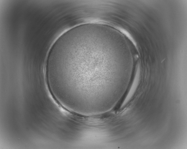 X0000071801007200607072047