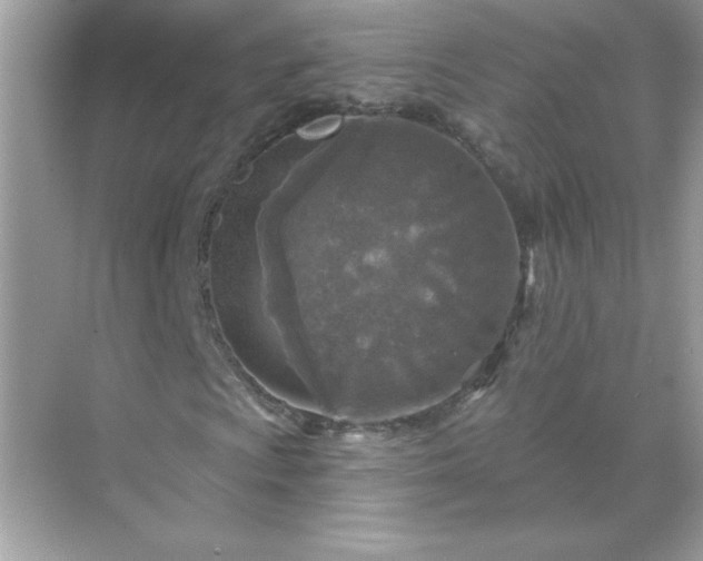 X0000071801009200607072046